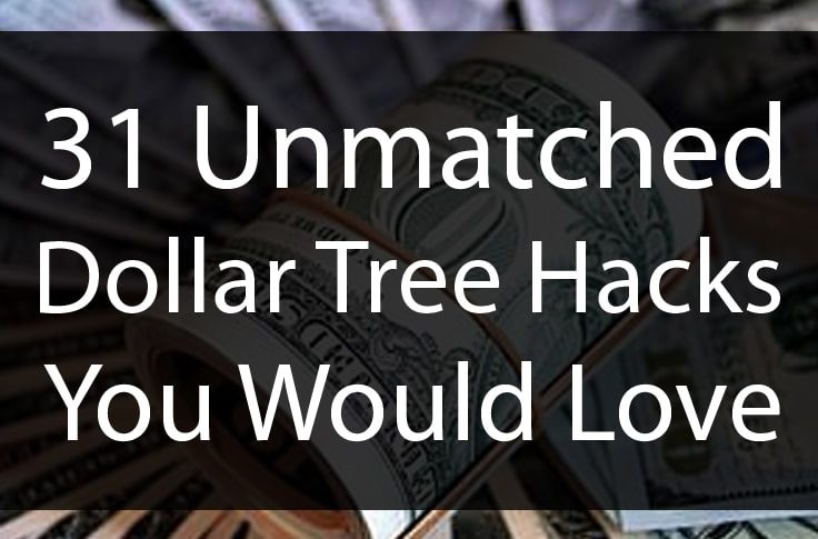 31 Unmatched Dollar Tree Hacks You Would Love