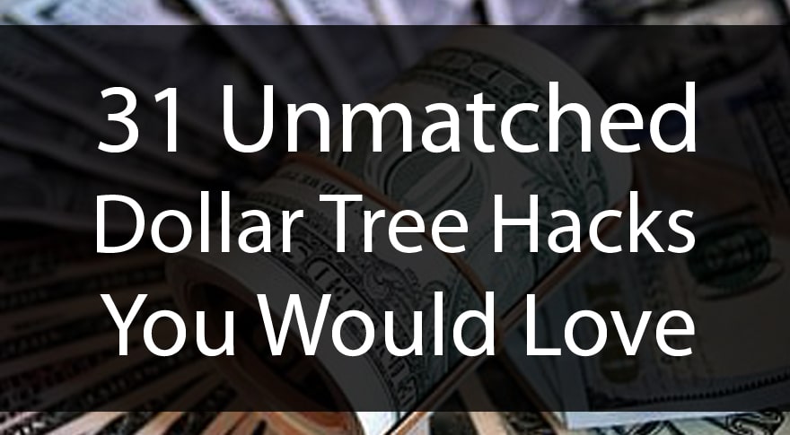 31 Unmatched Dollar Tree Hacks You Would Love