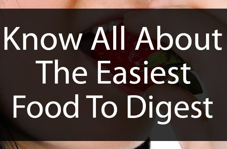 Know All About The Easiest Food To Digest