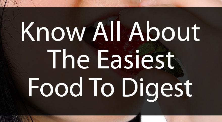 Know All About The Easiest Food To Digest